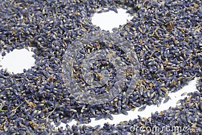 Dried flowers of lavender. Inflorescences of lavender are scattered on the surface in the form of an emoticon. On a white backgrou Stock Photo