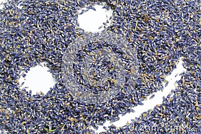 Dried flowers of lavender. Inflorescences of lavender are scattered on the surface in the form of an emoticon. On a white backgrou Stock Photo