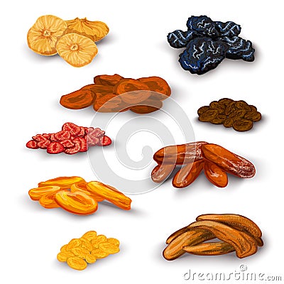 Dried fruit icons set Vector Illustration