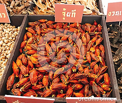 Dried fruits of Gardenia jasminoides or Fructus gardenia or Cape jasmine or Zhi zi shan or Chija. Stock Photo