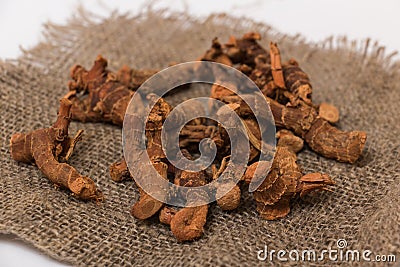 Dried galangal root Stock Photo