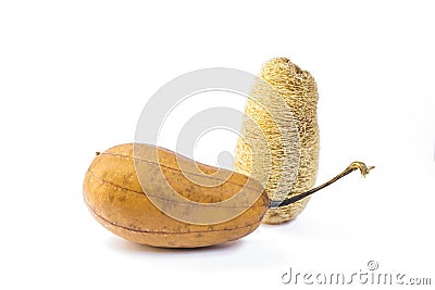 Dried gourd luffa fruit and natural scrubber isolate on white background Stock Photo