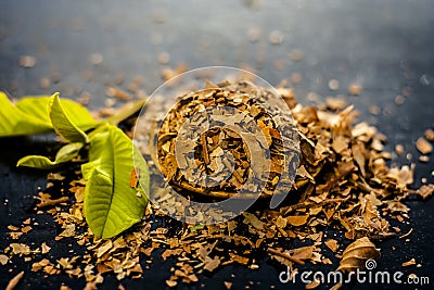 Dried Guava leaves. Stock Photo