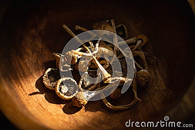 Dried hallucinogenic magic mushrooms Stock Photo