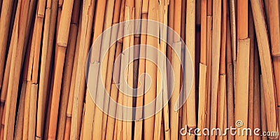 Dried haulm texture. Aged photo. Bamboo like grass close up. Stock Photo