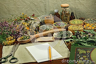 Dried herbs for use in alternative medicine Stock Photo