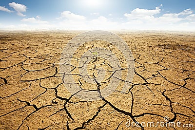 Dried land with cracked ground Stock Photo