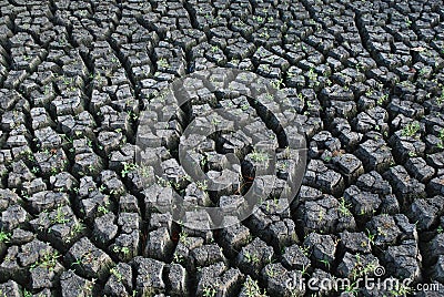 Dried land, dead earth, cracks Stock Photo
