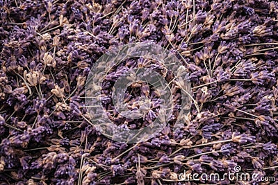 Dried lavender closeup background. Generate Ai Stock Photo