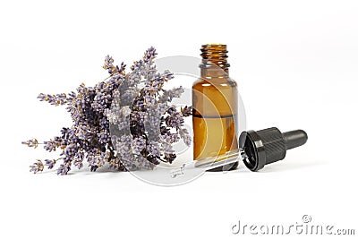 Dried lavender and essential oil in little bottle Stock Photo