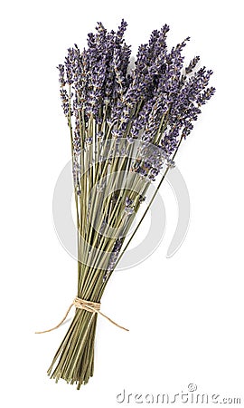 Dried lavender flowers Stock Photo