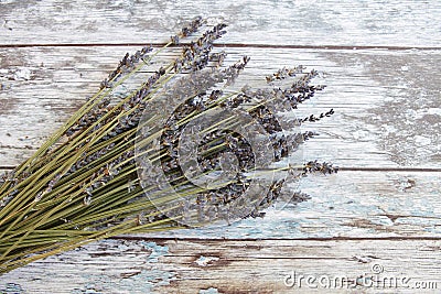 Dried lavender Stock Photo