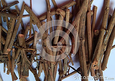 Dried Madder Root also known as Rubia tinctorum or cordifolia or Common madder or Dyers madder Stock Photo