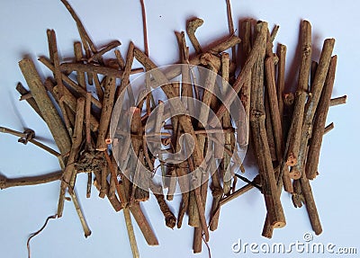 Dried Madder Root also known as Rubia tinctorum or cordifolia or Common madder or Dyers madder Stock Photo