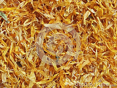 Dried Marigold flowers Stock Photo