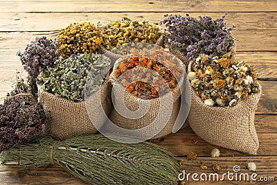 Dried medical herbs Stock Photo