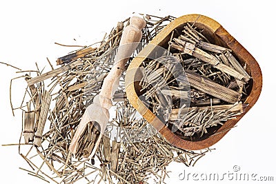 Dried Medicinal Herb - Horsetail Photo White Background Stock Photo