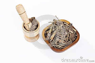 Dried Medicinal Herb - Horsetail Photo White Background Stock Photo