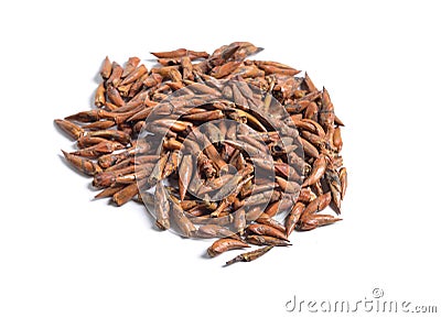 Dried medicinal herbs raw materials isolated on white. Buds of P Stock Photo