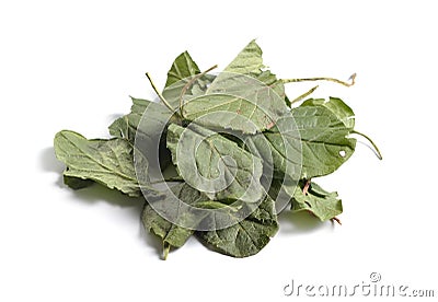 Dried medicinal herbs raw materials on white. Leaves of Stock Photo