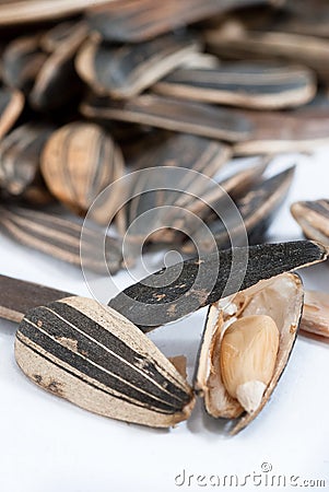 Dried Melon Seeds Series 02 Stock Photo