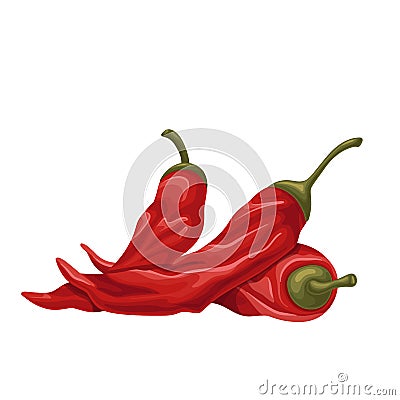 Dried Mexican Peppers icon Vector Illustration