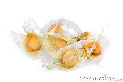 Dried moringa Drumstick tree seeds isolated on white Stock Photo