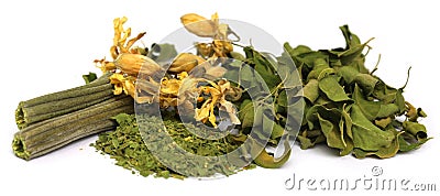 Dried moringa with leaves and flower Stock Photo