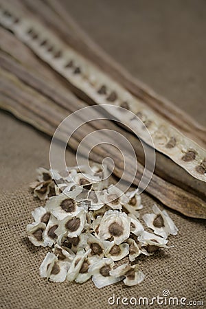 Dried Moringa pods and seeds on sackcloth Stock Photo