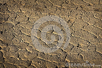 Dried Mud Dirt Drought Parched Ground Stock Photo