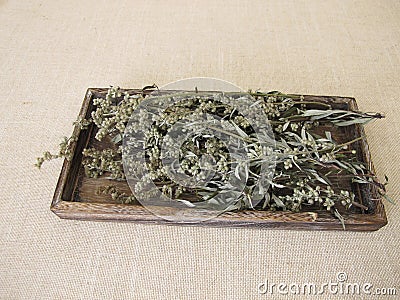 Dried mugwort on a small tray Stock Photo