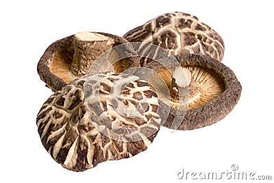 Dried Mushrooms Stock Photo