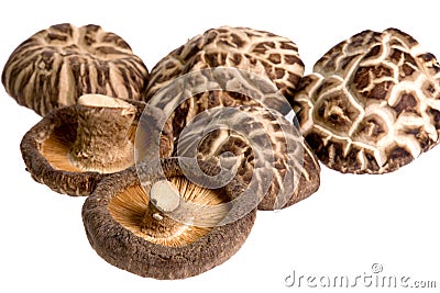 Dried Mushrooms Stock Photo