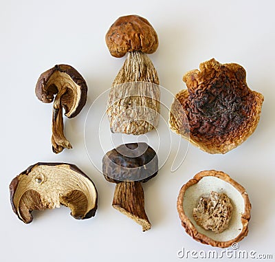 Dried mushrooms. Stock Photo