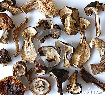 Dried mushrooms. Stock Photo