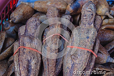 Dried Nariphon fruits for sale at the amulet market, Thailand. T Stock Photo