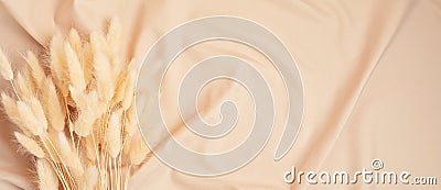 Dried Natural Lagurus Ovatus Bunches, Hare Tail Grass over beige pastel background. Banner Stock Photo