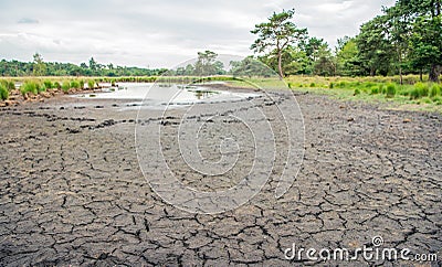 Dried natural pond in a Dutch nature reserve Stock Photo