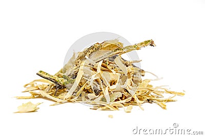 Dried Ocotillo bark, Fouquieria Splendens Stock Photo