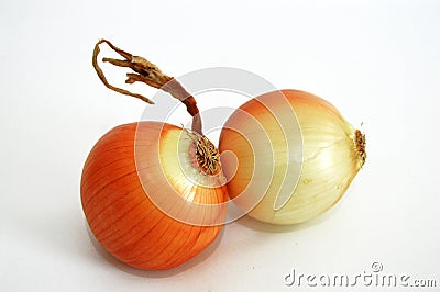 Dried onion pictures suitable for food sites and onion advertisements Stock Photo