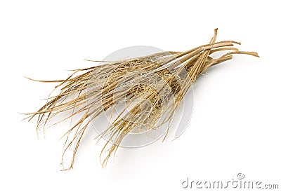 Dried palm leaves Stock Photo