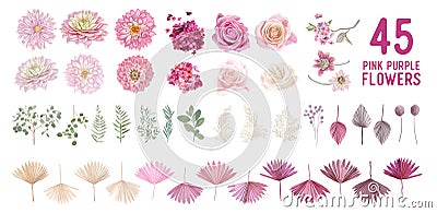 Dried pampas grass, dahlia, rose flowers, tropical palm leaves vector bouquets. Pastel watercolor floral Vector Illustration