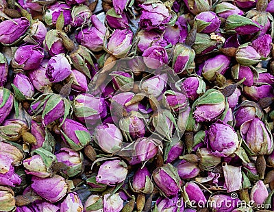 Dried pink roses tea Stock Photo