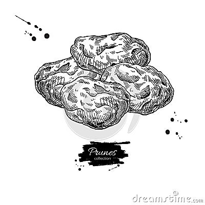 Dried plum heap. Prune vector drawing. Hand drawn dehydrated fruit illustration. Vector Illustration