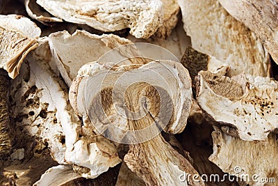 Dried Porcini Mushrooms Stock Photo