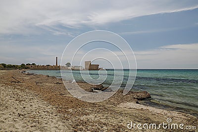 Dried Posidonia algae in sicily vendicari Stock Photo