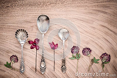 Dried purple flowers and vintage silver spoons Stock Photo