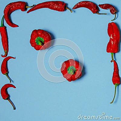 Dried red chili peppers lie on a multi-colored background Stock Photo