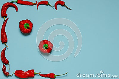 Dried red chili peppers lie on a multi-colored background Stock Photo