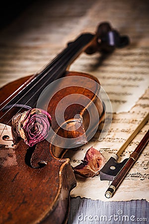 Dried rose over an old violin Stock Photo